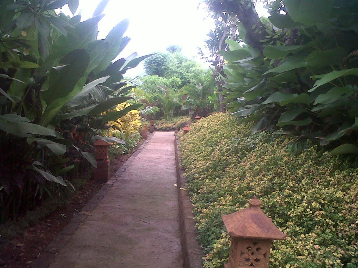 Eliska Sari Bungalows Sumberkima Pemuteran  Exterior photo